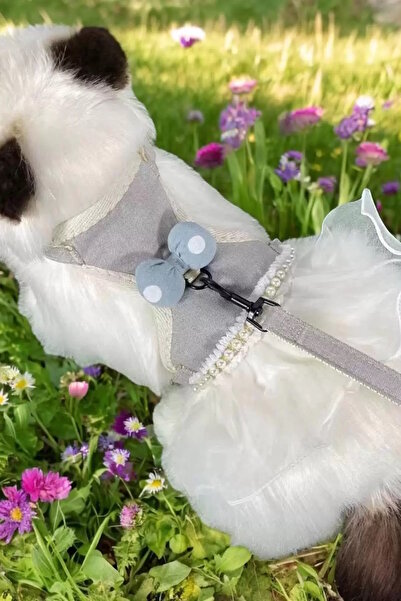 CAŞ DEKORASYON Mixed Color Ribbon Figured Pearl and Tulle Detailed Waist Chest Adjustable Cat/Dog Collar