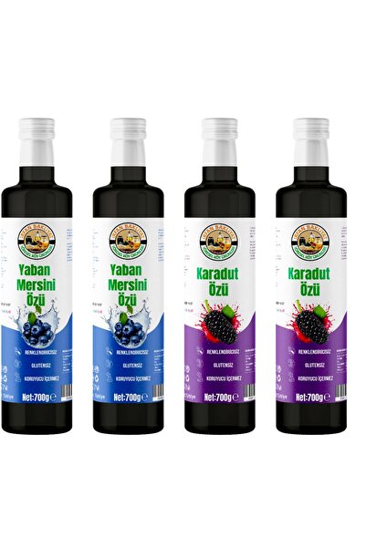 irfan bakliyat Yaban Mersini Özü 2*700 gr Karadut Özü 2*700 gr Toplam 4 Adet