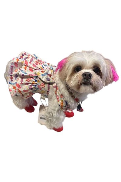 GedyCo Candy Ruffle Salopet Small Breed Dog Dress