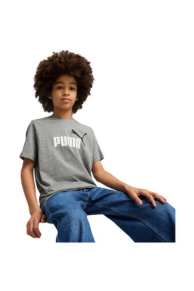 Puma Tričko Puma Ess 2 Color No.1 Logo Tee B, Grey, Kids