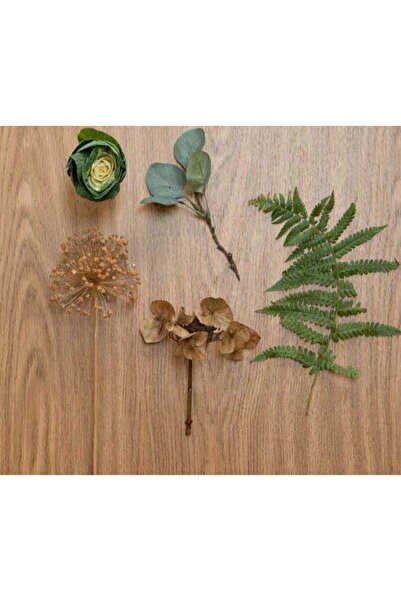 d-c-fix 346-0035 Meşe Ahşap Desen Yapışkanlı Folyo