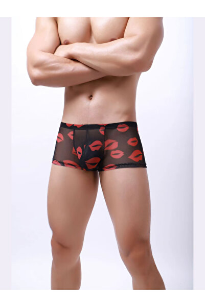 byen Hayat Bazendelikten Yanaizemli Cazibe: Baştan Çıkaran Şeffaflık ve Tutkulu Detaylar