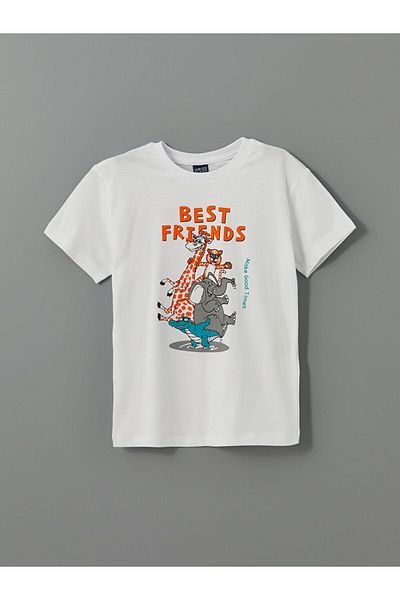 LC Waikiki Crew Neck Boys T-Shirt and Shorts
