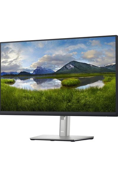 Dell Monitor IPS LED Dell 23,8" P2422H, Full HD 1920 x 1080, VGA, HDMI, DisplayPort, negru/argintiu