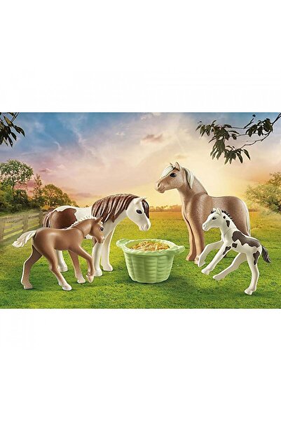Playmobil - Set 2 Cai Islandezi Cu Manji