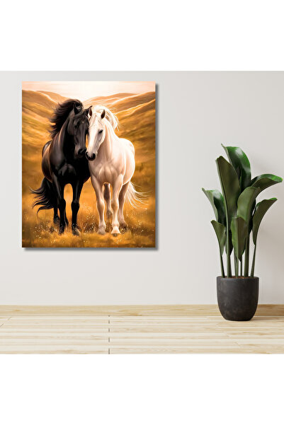 LİLYHOBBYLAND Sayılarla Boyama Renkli Baskılı Hobi Seti (Çerçeveli) 50x65 cm:...