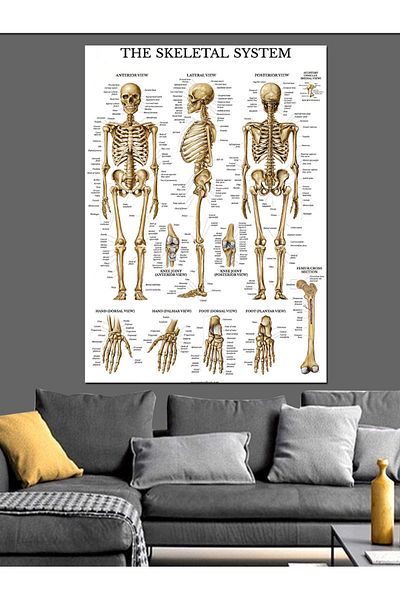 Tablomega Διακοσμητικός καμβάς Skeleton System - Ξύλινος πίνακας MDF
