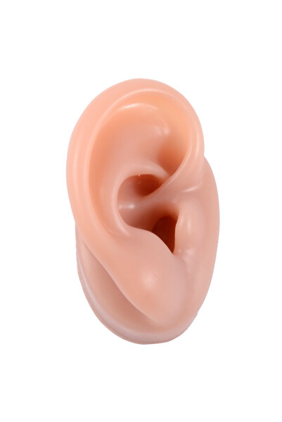 Choice Coffee Right Ear 1PC Stainless Steel Display Stand Soft Silicone Ear M...