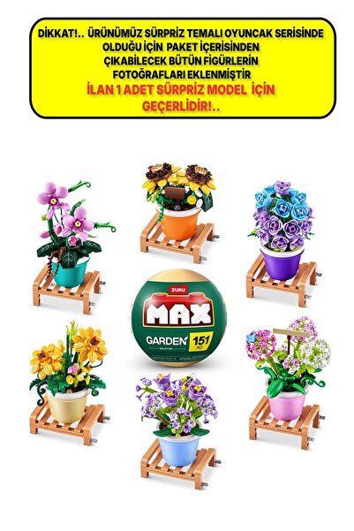 TOYFEST Max Saksı Bitkileri Sürpriz Paket - 1 ADET LÜTFEN DİKKAT 1 ADET SÜRPR...