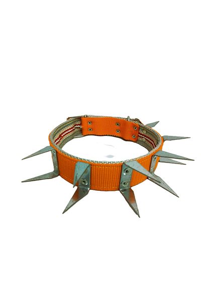 kozaklı Kangla Dog Guard Collar