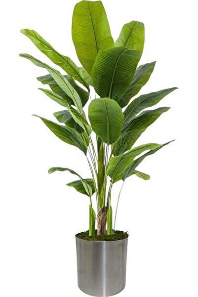 ERHAN FLOWERS ÇİÇEK & DEKORASYON Yapay Ağaç muz 180 cm metal saksı