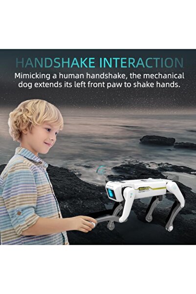 TEEGGI Robot Köpek Uzaktan Kumandalı Oyuncak - 3-12 Yaş İçin Akıllı Robot Köpek