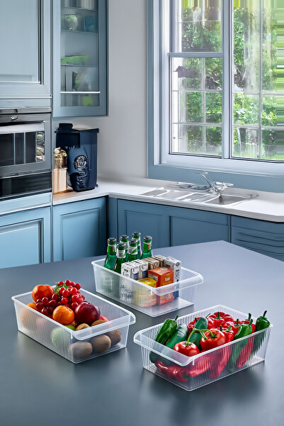 ASlife Home 3 Medium Size Refrigerator Organizer 6 Liters