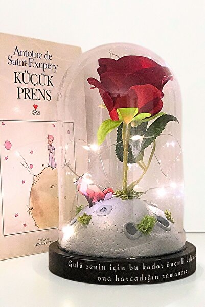 Art inside Küçük Prens Diorama El Yapımı Led Aydınlatmalı Hediye Fanus Sonsuz...