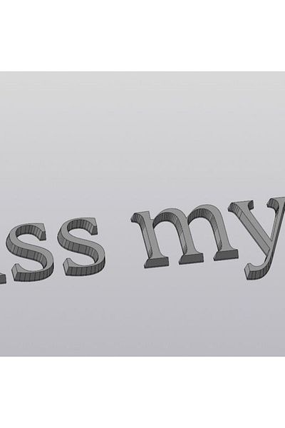 swordslife Luggage writing (kiss my s@)