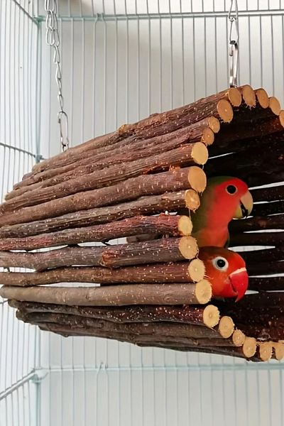 Alyones Parrot Hideout Swing Toy - Chewing and Climbing Area with Natural Wood Beads
