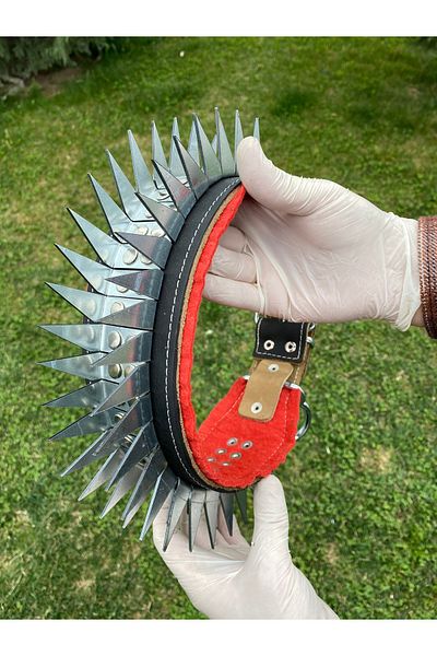 Sürmeli Tasma Kangal Shepherd Dog Collar Genuine Leather Gladiator Series Do Not Bend Do Not Bend