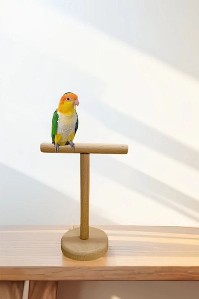 Alyones Natural Wood Desktop Parrot Play and Training Platform