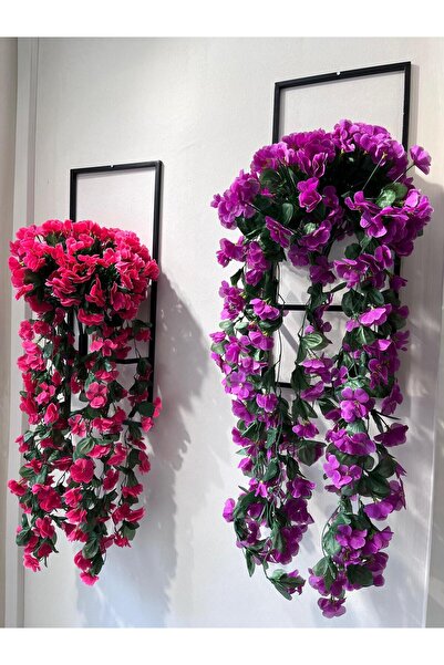DDTREND 2 Adet Metal Saksıda Sarkan Begonvil Fuşya-mor ( Saksı Dahil)