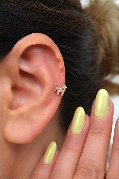 Sacce Scarves&Accessories W Harfi Piercing Helix Kıkırdak Lob Tragus