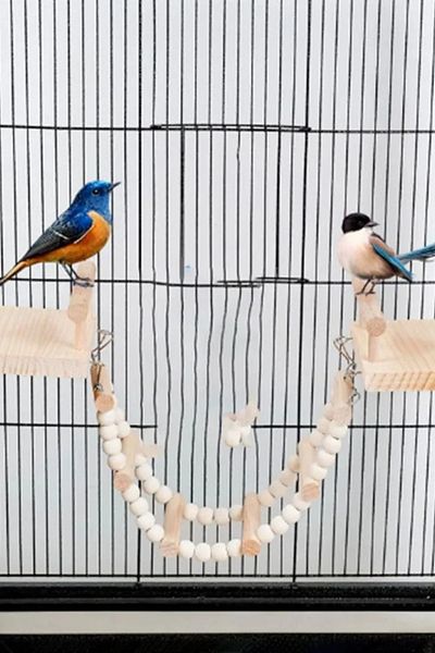 Alyones Wooden Parrot Swing and Climbing Ladder Set - Spring Jumping Toy