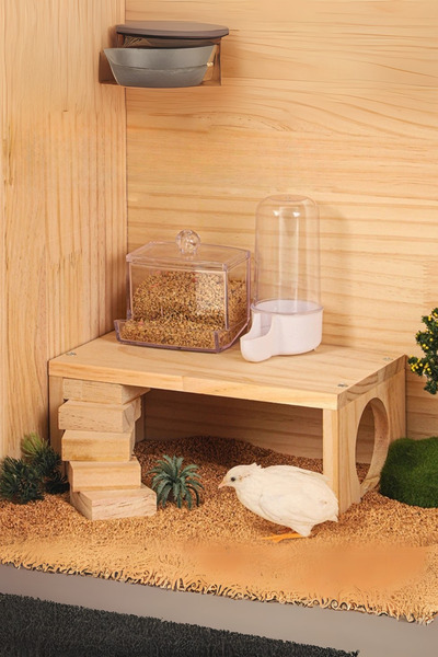 Alyones Ahşap Hamster Tırmanma Platformu - Merdivenli Kafes Aksesuarı