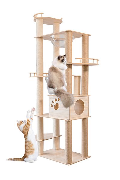 KidLe Cat Tree Cat Climbing Frame Cat House Cat Condo Cat Bed