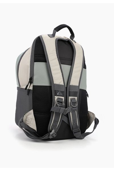 Quiksilver Freeday 20L Backpack Beige Eqybp03710