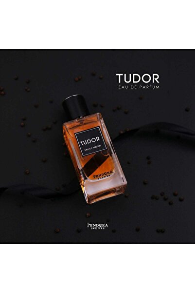 Pendora Scents Tudor MEN- EDP 100 mL