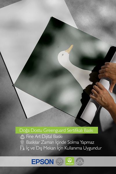 Postifull Pictură cu cadru alb, Silly Goose, Pictură de perete pentru bucătărie din seria Comfort, NR: 108947