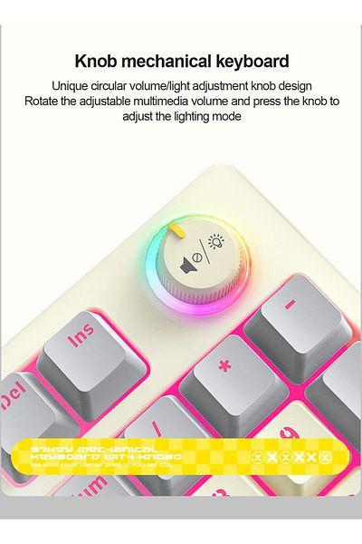 T-WOLF T50 Wired Gaming Keyboard, 97 Keys Blue Switch Mechanical Keyboard with Rgb Backlit and Multimedia