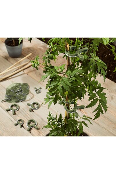 Tchibo 20 Adet Bitki Mandalı