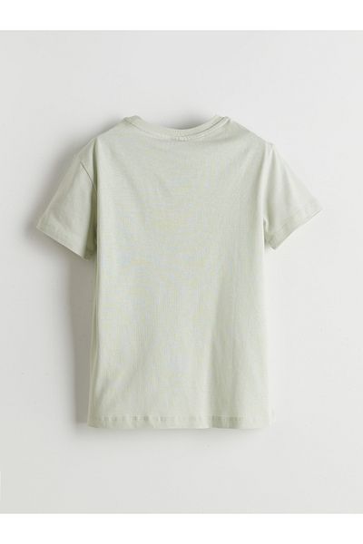 LC Waikiki Crew Neck Boy's T-Shirt