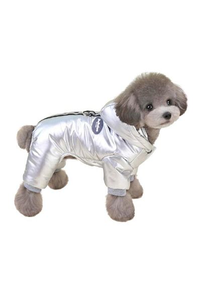 Glipet Bright Gray Bomber Jacket and Dog Outfit Size m