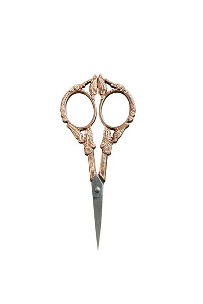 OZN AKSESUAR Fraternity Scissors - Ribbon with Birds Opening Special Day Mesa Simsiyan Corn Red Anemone Alma