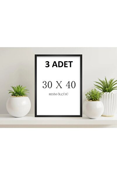 Genel Markalar Siyah Renk 30x40cm 3 Adet Boş Çerçeve
