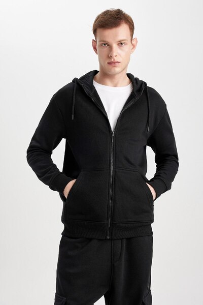 DeFacto Soft Furry Hooded Basic Sweatshirt - Pocketed, Plain Zipper X8331Az24Sp