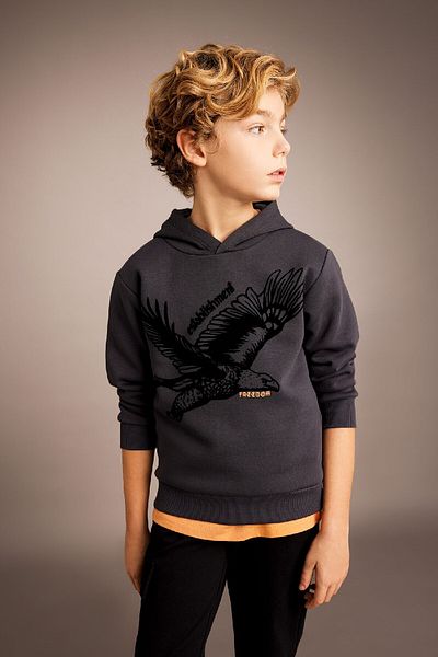 DeFacto Boy's Printed Hooded Thick Sweatshirt B6316a823cw