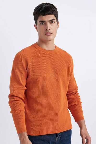 DeFacto Standard Fit Normal Cut Crew Neck Basic Plain Knitwear Sweater A8458Ax24Sp
