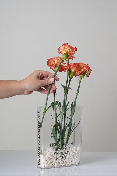 AKCAKESE Book Vase Decorative Flower Holder, Desktop Transparent Book Vase