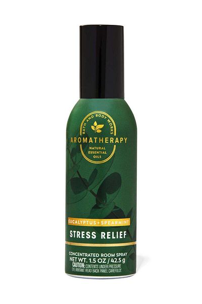 Bath & Body Works Eucalyptus Spearmint Concentrated Room Spray