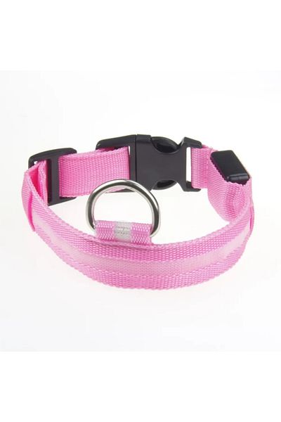 Pet Aksesuar Led Lighted Collar, Dog Collar, m Bedan