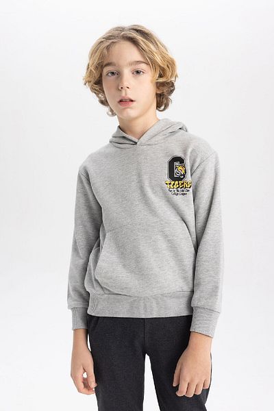 DeFacto Boy's Printed Hooded Thick Sweatshirt B9012a823cw