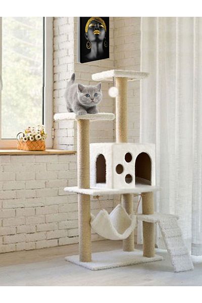 Petilux B-10 Luxury Cat Scratching House with Hammock Nest