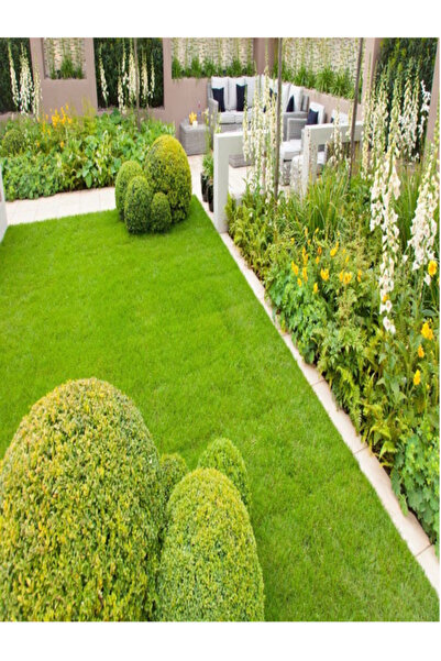 Genel Markalar 7 Günde Çimlenen Karışım Çim Tohumu 1,5 Kg 6 Lı Bölünüp Başka ...