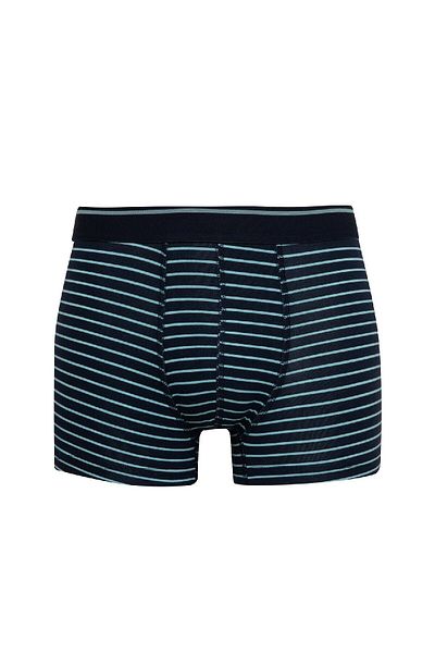 DeFacto Regular Fit Ριγέ 3 τεμαχίων Boxer C3848ax24sm