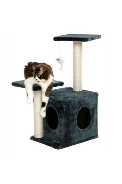 Petilux Double Step Slot Cat Scratch Ptlx-0064