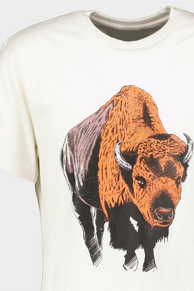 Pegas Tricou Normal din Bumbac Zimbru