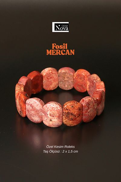 CessNova Certified Fossil Coral Special Cut Roleks Bracelet