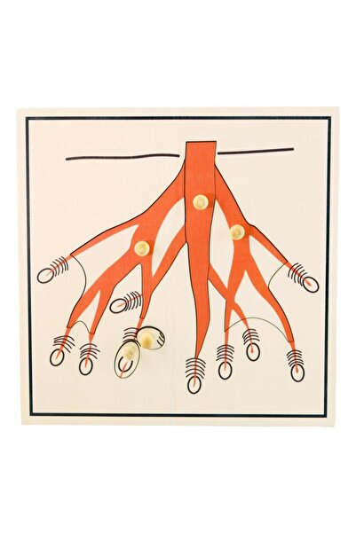 BALATOYZ Tree Root Puzzle